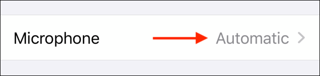 Appuyez sur l'option Microphone pour le personnaliser
