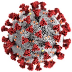 Le coronavirus affecte la fertilité masculine