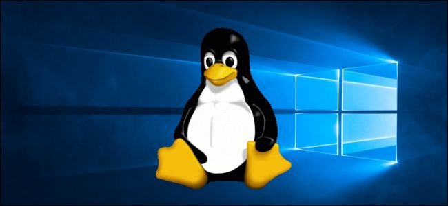 Mascotte Tux de Linux sur Windows 10