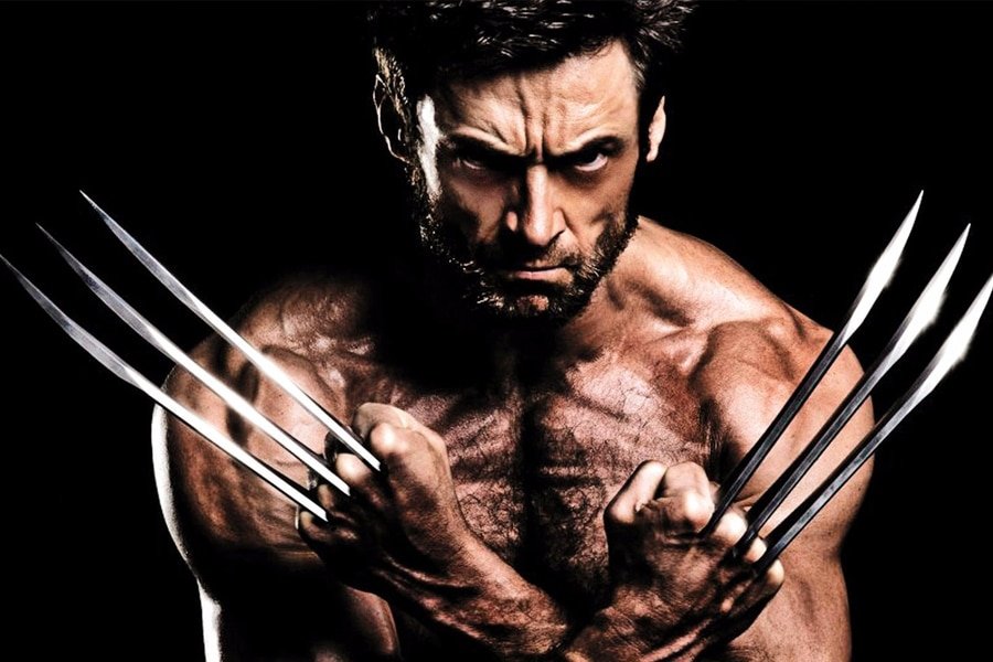 Wolverine 