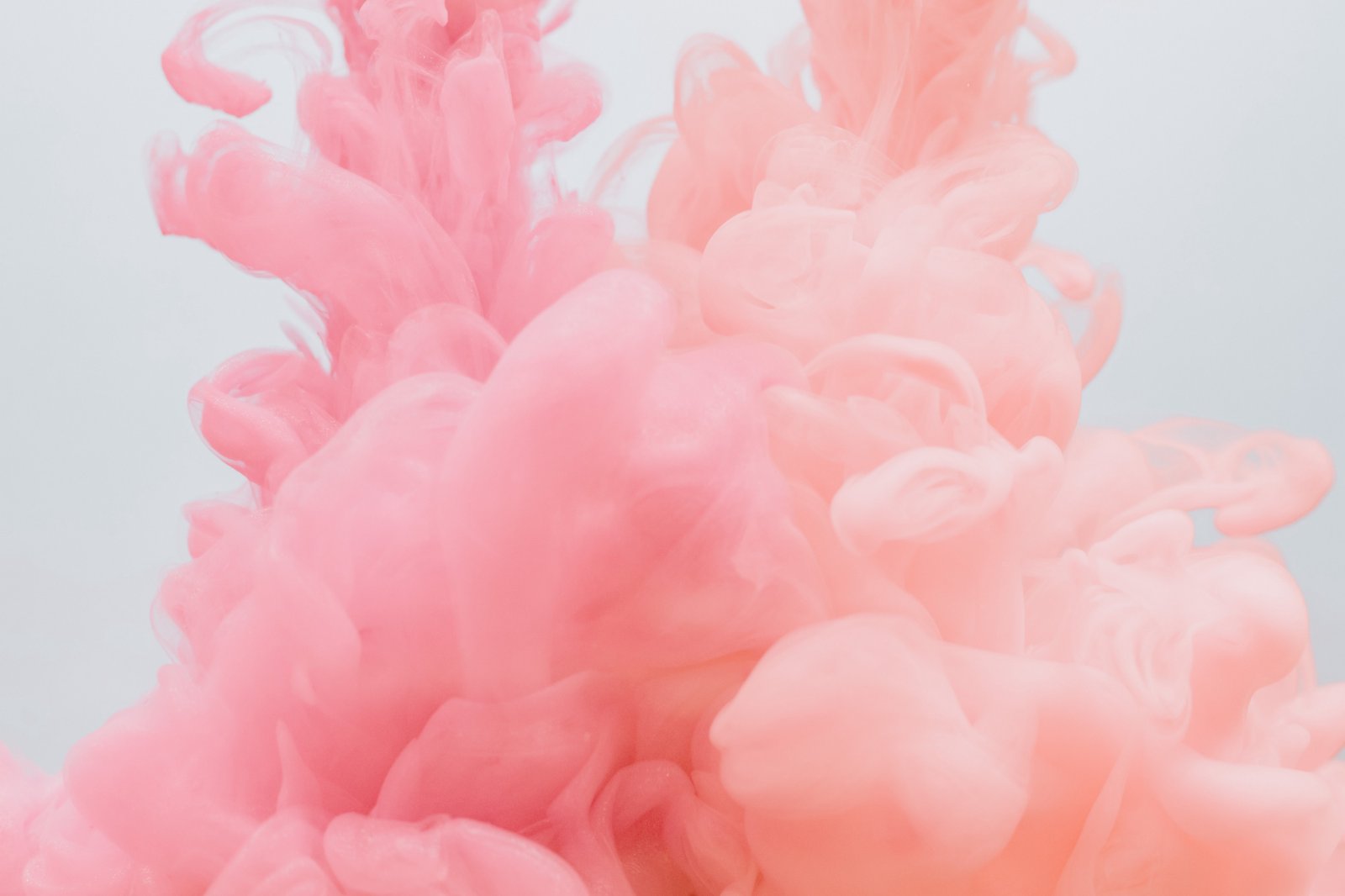 Image pour publication
