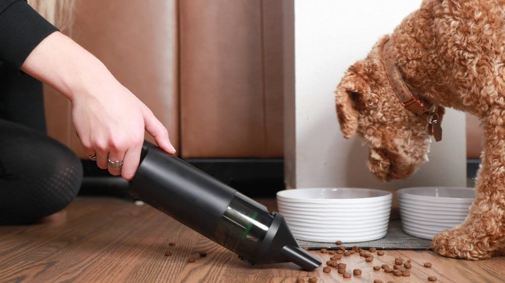 Un aspirateur à main Wyze aspirant la nourriture pour chiens.