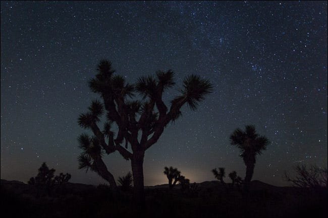 photos de paysage de nuit joshua tree