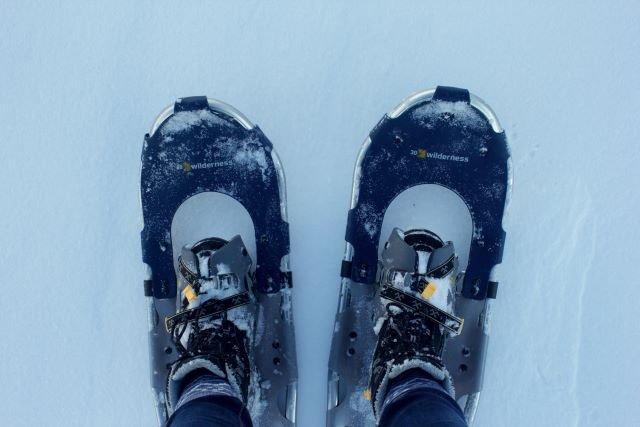 Chaussures de sport