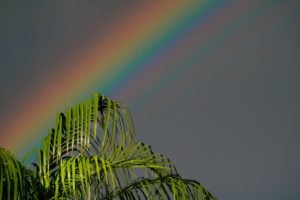 arc en ciel