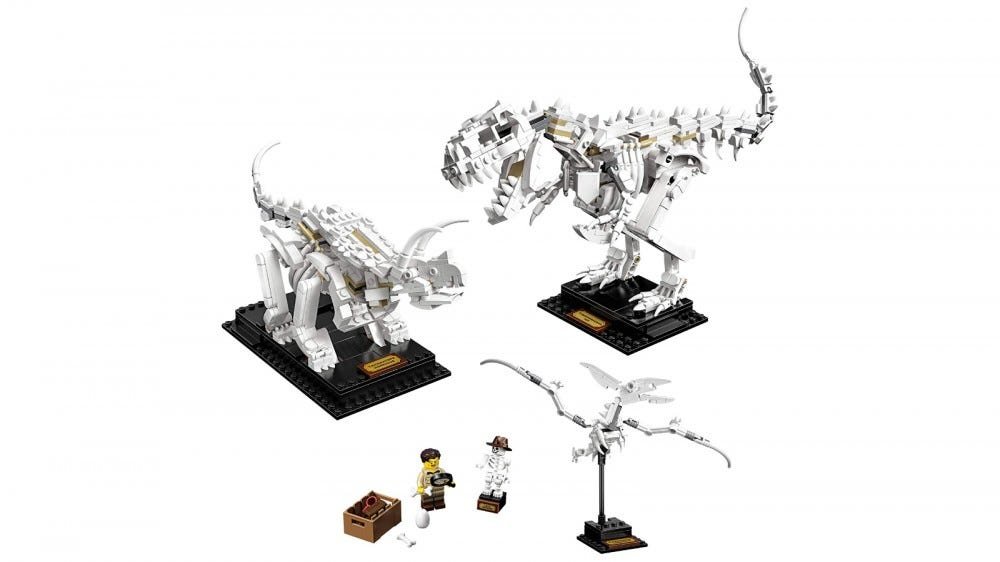 Ensemble de fossiles de dinosaures LEGO Ideas