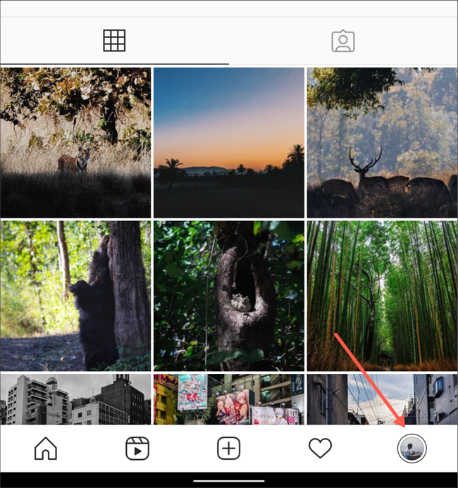 Visitez l'onglet de profil sur l'application Instagram