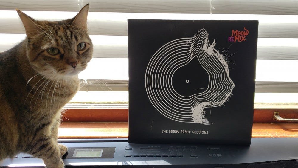 Mon chat avec le Meow Mix ReMix LP