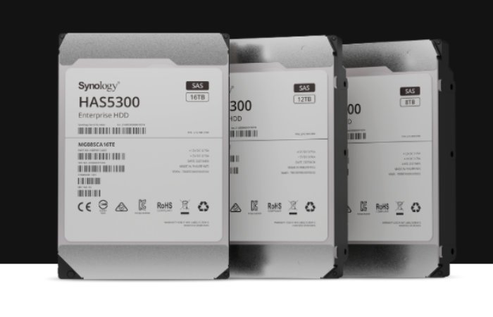 Disques durs Synology HAS5300