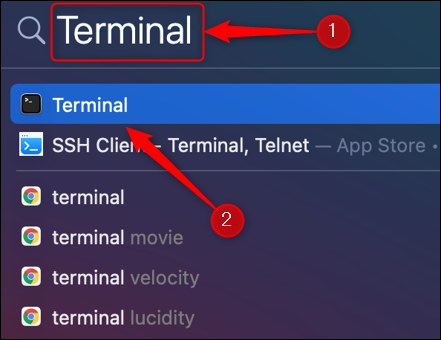 Rechercher "Terminal" dans la recherche Spotlight et appuyez sur "Revenir."