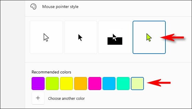 Choisissez une couleur de pointeur de souris.