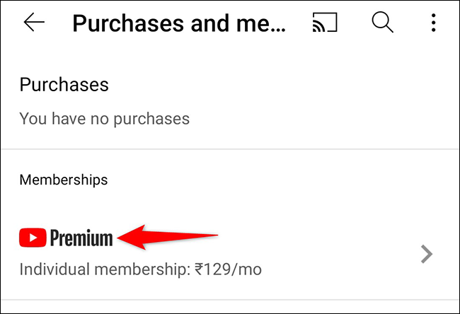 Robinet "Prime" dans le "Adhésions" section dans l'application YouTube.