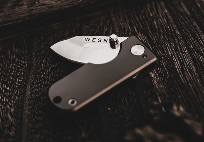 Microlame WESN