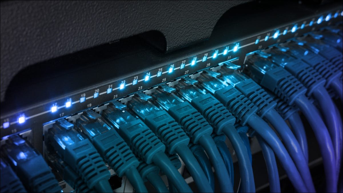 Photo de câbles Ethernet dans un commutateur réseau