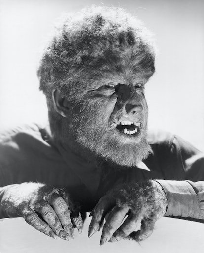 Lon Chaney Jr. dans le rôle du Wolfman du film The Wolfman.  (Photo de George Rinhart/Corbis via Getty I...