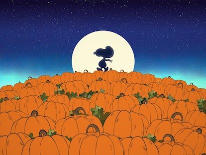 Snoopy dans 