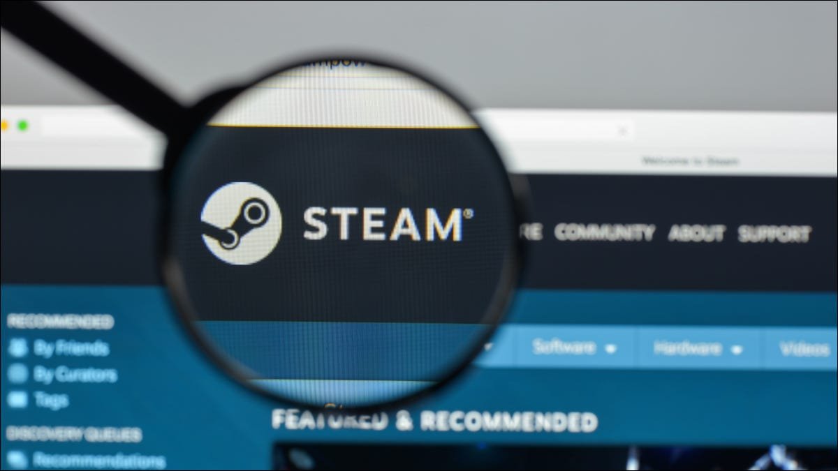 Loupe mettant en évidence le logo Valve Steam sur la page Web de la boutique Steam.