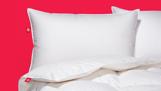 Compagnie canadienne du duvet et de la plume