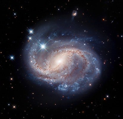 Sur un fond noir d'encre, les tourbillons bleus de la galaxie spirale NGC 6956 se détachent de manière radieuse.  NGC 6...