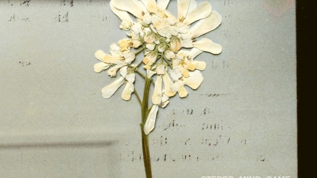 Daughter Stereo Mind Game pochette du nouvel album Be On Your Way flux vidéo de la chanson