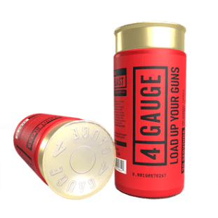 Pré-entraînement à 4 jauges