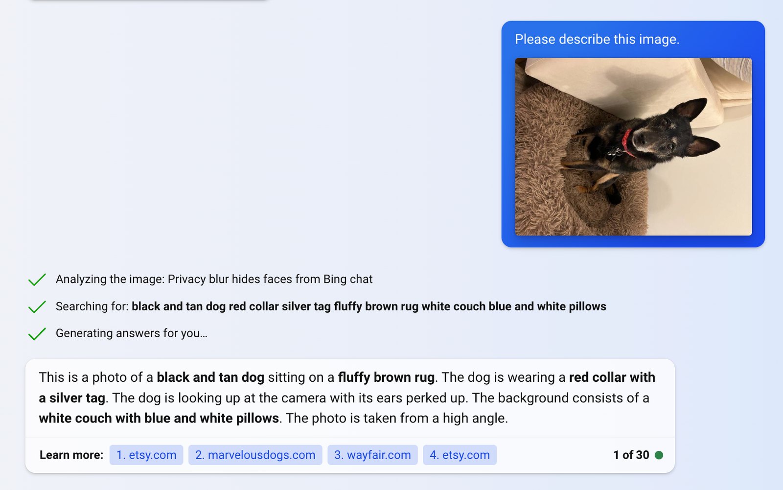 Capture d'écran de détection d'image Bing Chat AI avec une photo de chien