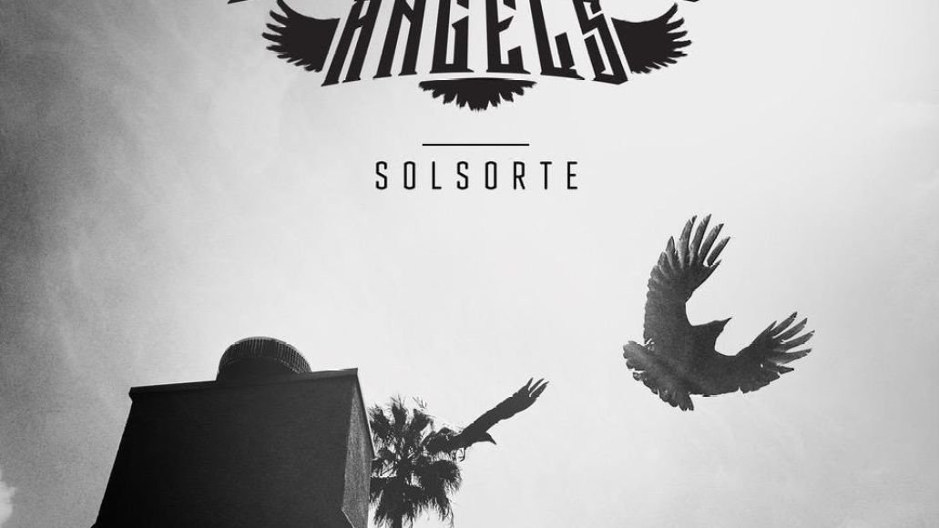 merle anges solsorte