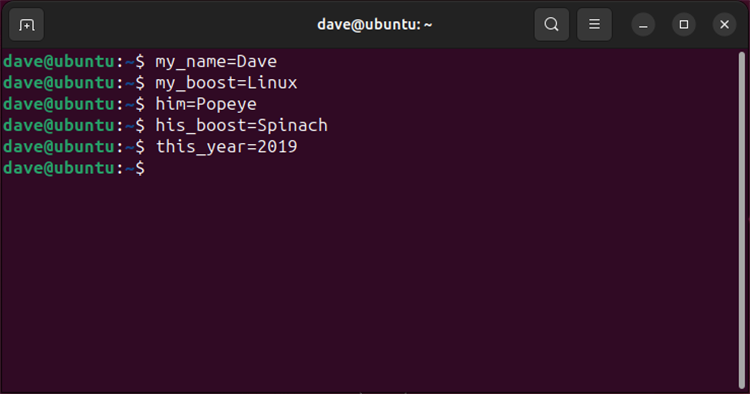 Définition des variables sous Linux. 