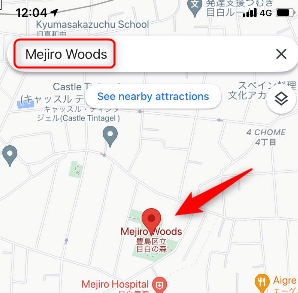 Rechercher un emplacement dans l'application Google Maps