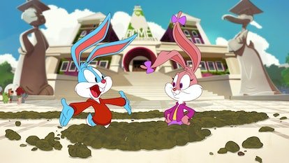 Les nouveaux « Tiny Toons ».