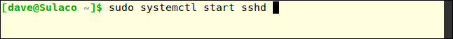 sudo systemctl démarre sshd dans une fenêtre de terminal