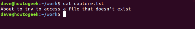 contenu de capture.txt dans une fenêtre de terminal