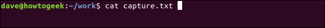 cat capture.txt dans une fenêtre de terminal