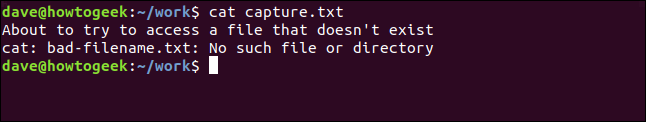 Capture.txt contient correctement la sortie de stderr et stdout. 