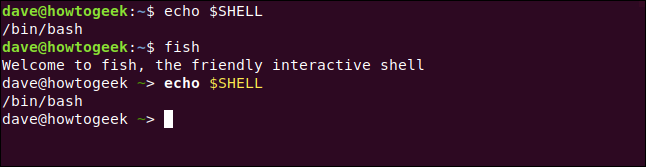 echo $SHELL dans une fenêtre de terminal