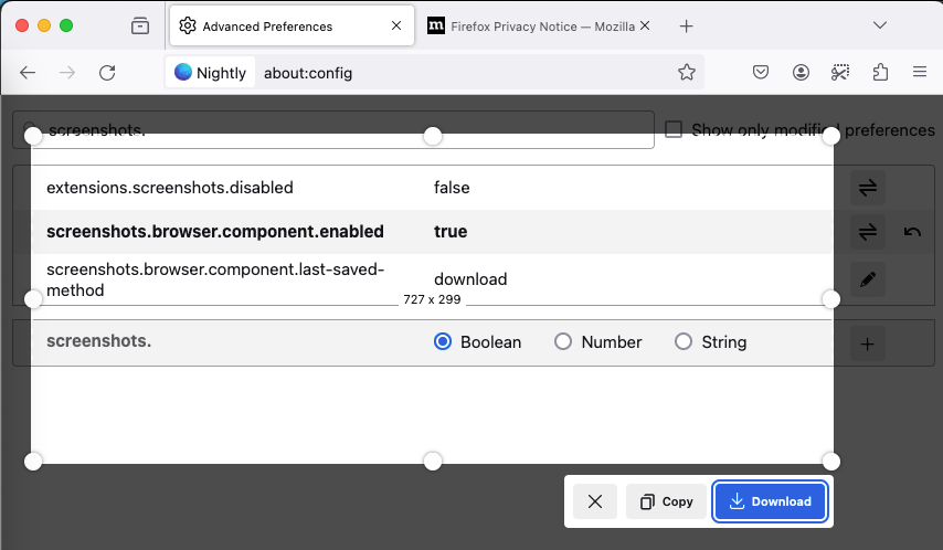 Capture d'écran de la prise d'écran dans Firefox