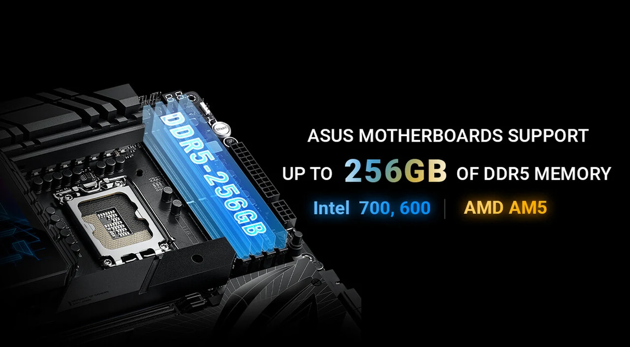 Cartes mères ASUS 256 Go de mémoire DDR5