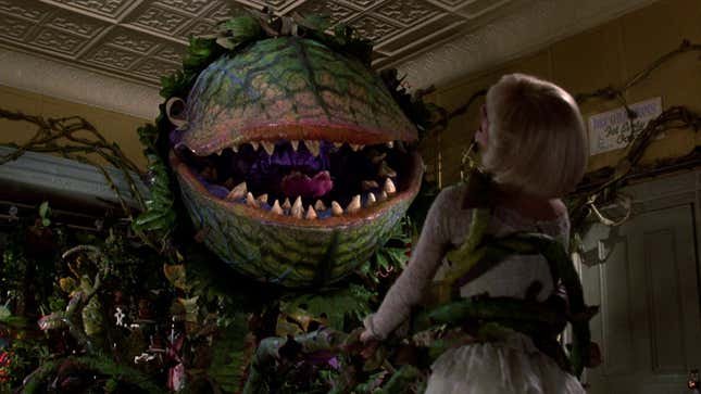 Audrey II dans La Petite Boutique des Horreurs (1986).