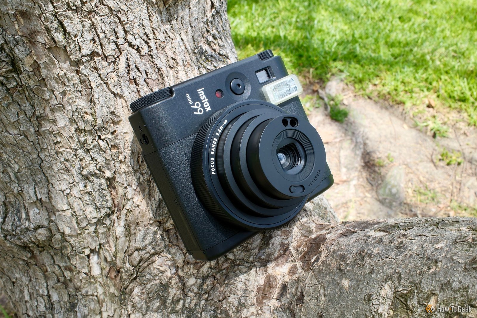 Fujifilm Instax Mini 99 allumé assis sur un arbre
