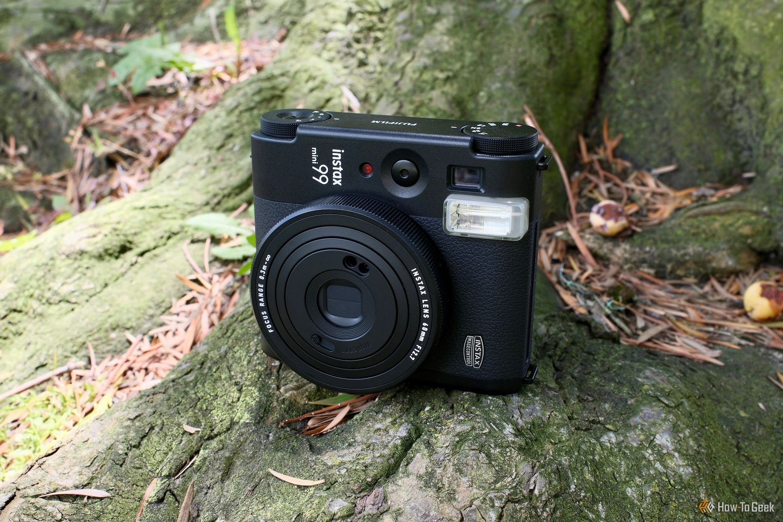 Fujifilm Instax Mini 99 assis dehors sur un arbre