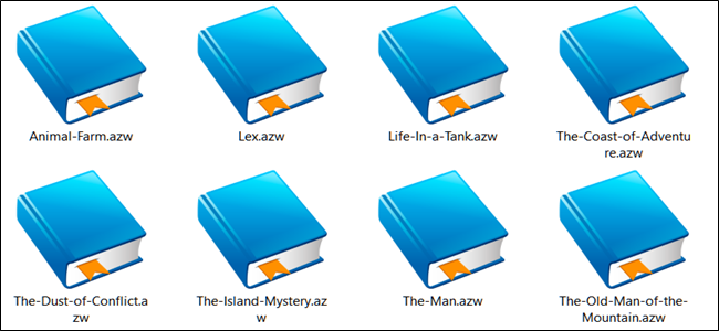 Fichiers de livres électroniques Kindle au format AZW