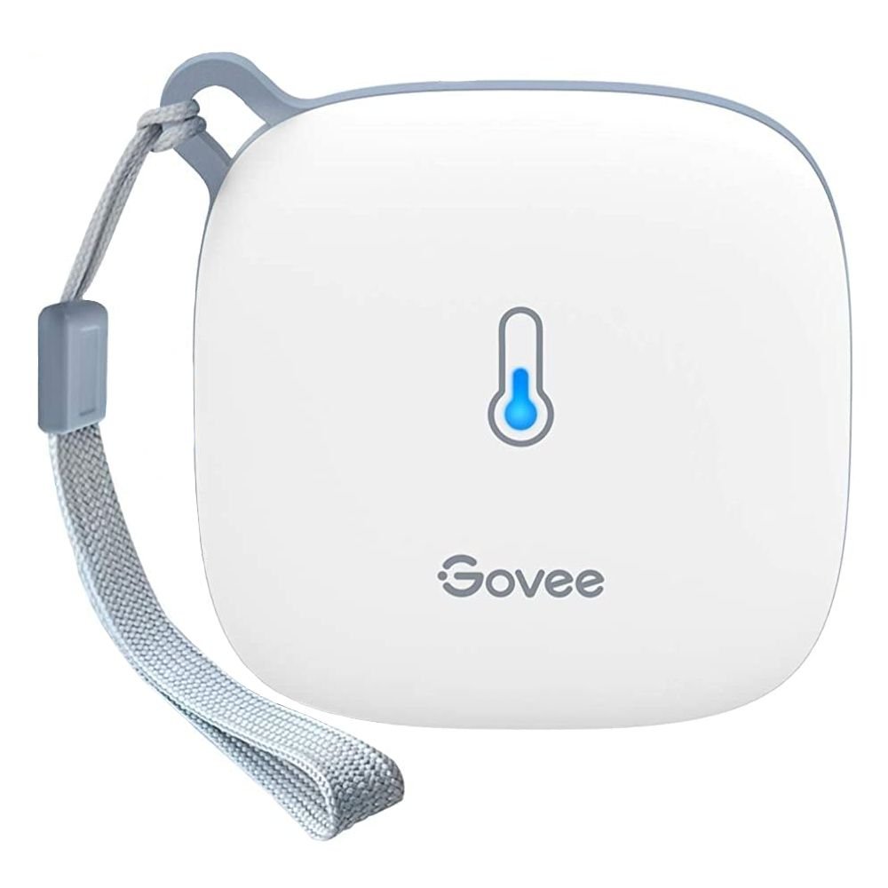 Thermomètre et hygromètre WiFi Govee