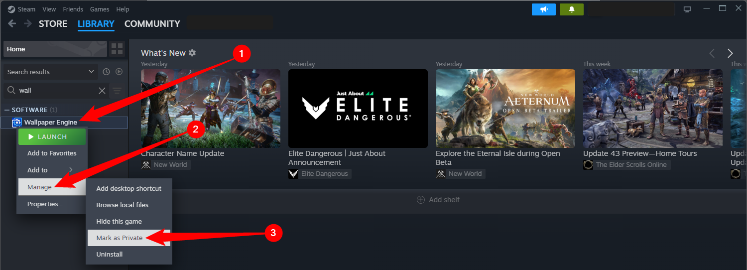Faites un clic droit sur le jeu, sélectionnez « Gérer », puis cliquez sur « Marquer comme privé ».