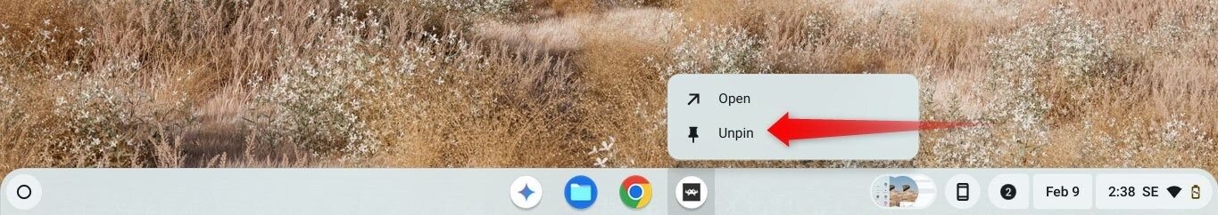 Impensante d'une application de l'étagère dans Chromeos.