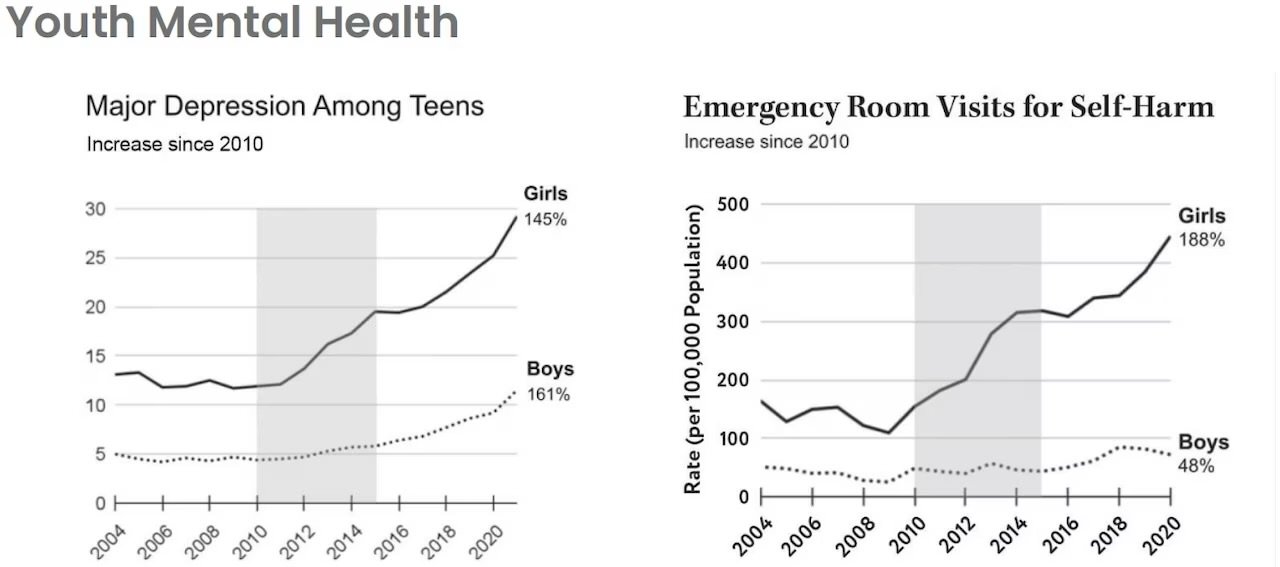 La santé mentale des jeunes et la montée en puissance majeure parmi les adolescents et les visites aux urgences pour l'automutilation - faire de votre mieux lorsque vous n'avez aucune chance de réussir