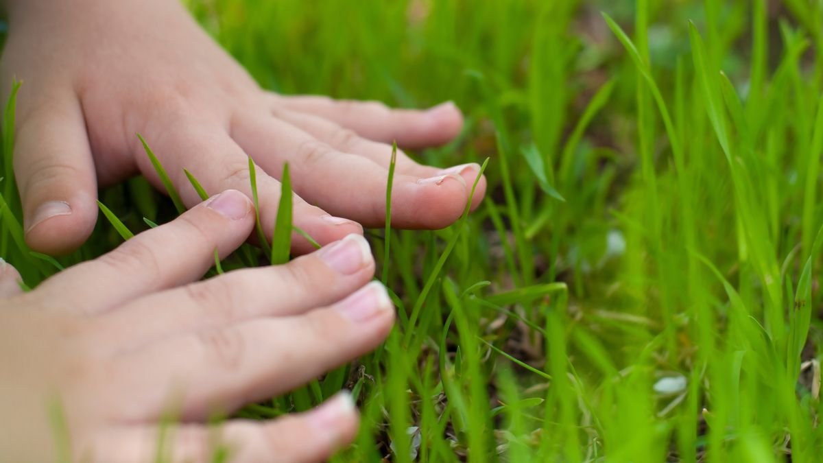 Gros plan des mains d'une personne touchant l'herbe.