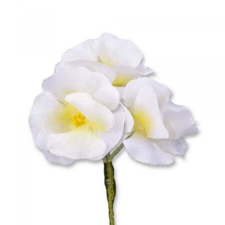 Fleur de boutonnière Boutonniere White Phlox Boutonniere