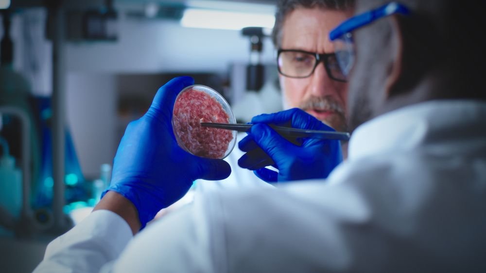 Divers collègues discutant de la viande cultivée en laboratoire.