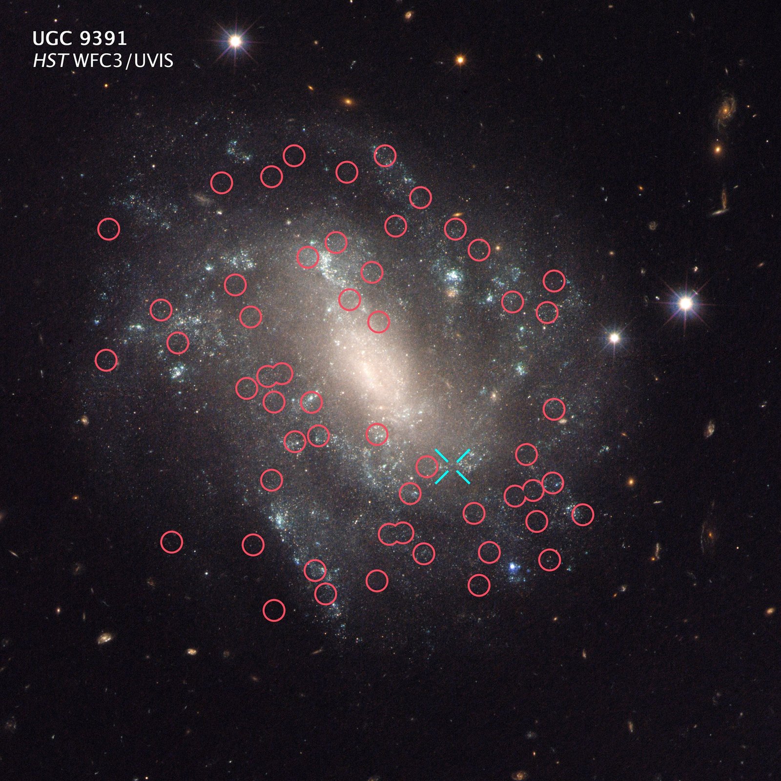 Étoiles variables de Cepheid marquées dans une galaxie. 