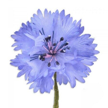 Bounflower Boutonniere boutonnière de boutonnière fleur de fleur Belvedere